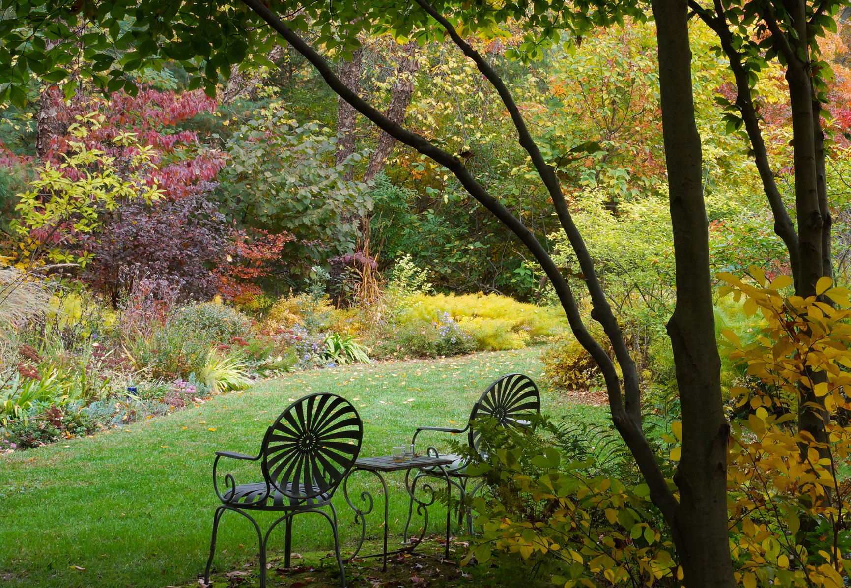 fall scene
